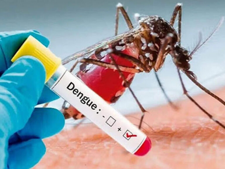 Dengue treatment