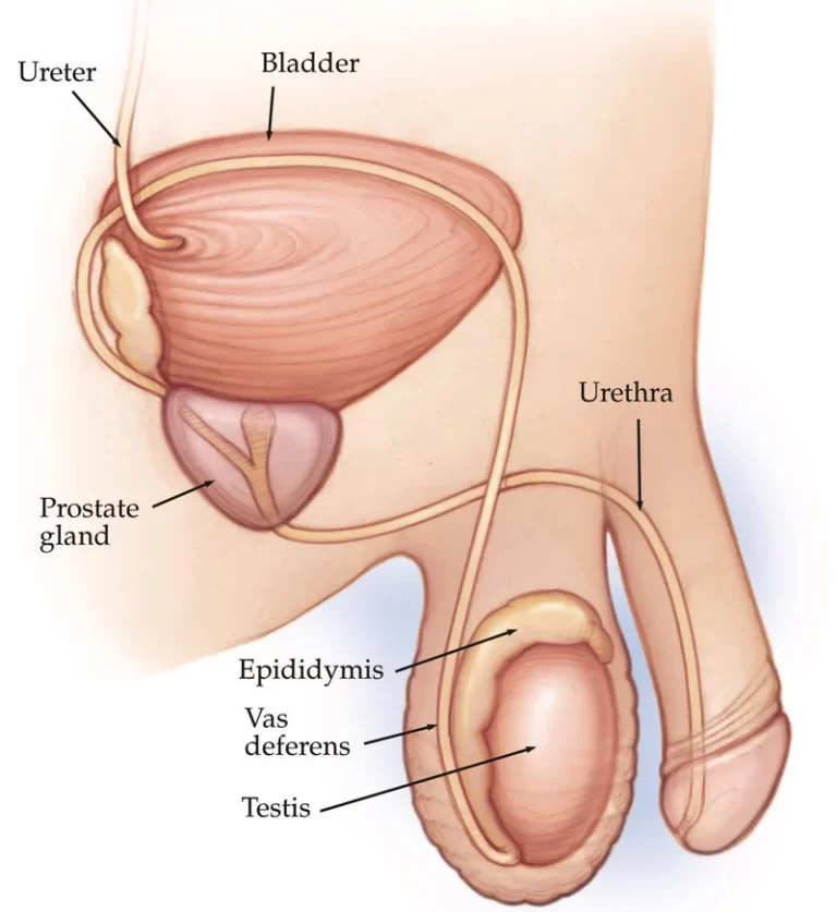 Prostate Care with Compassion