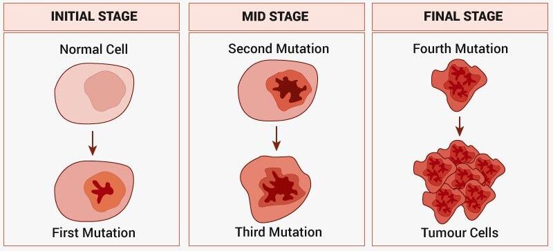 staging of blood cancer