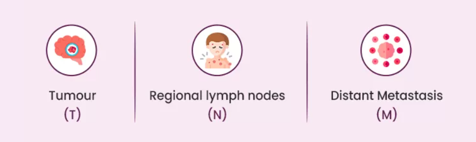 head & neck cancer stages