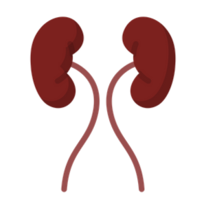 kidney transplant