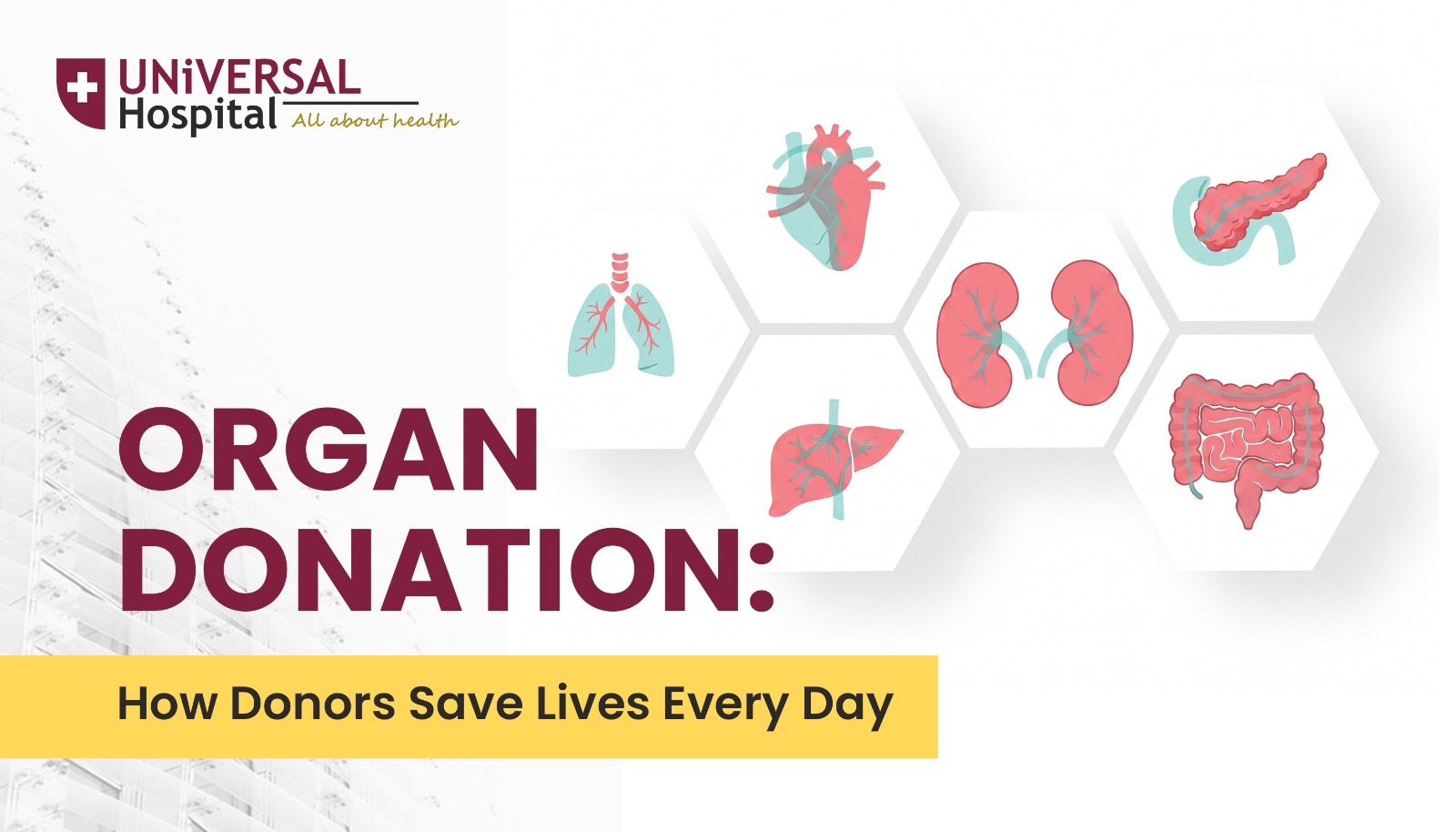 Organ Donation how donors saves lives every day