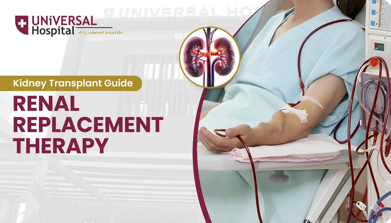 Kidney Transplant Guide Renal Replacement Therapy